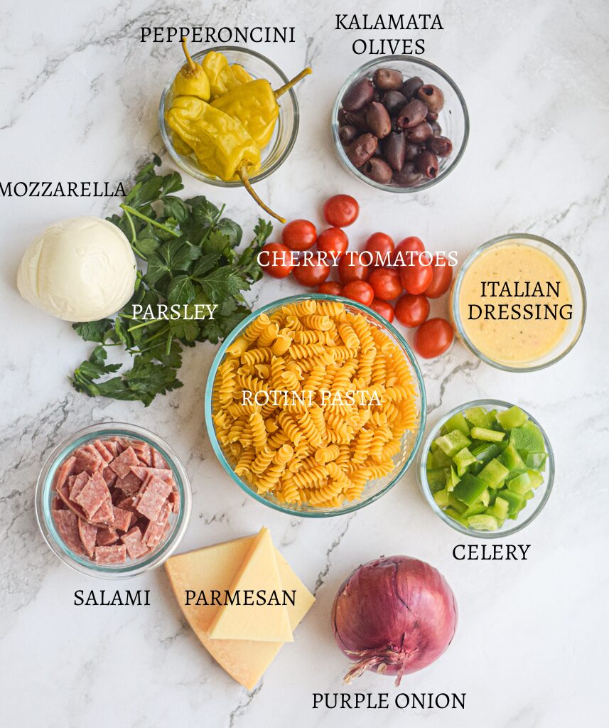 Ingredients for italian pasta salad